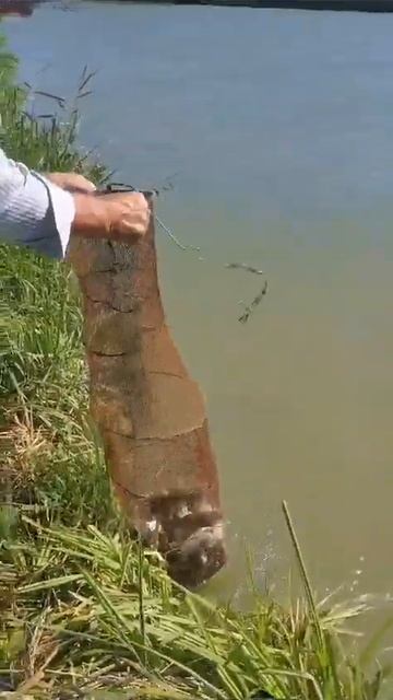 рыбалка на Кубани 2023 погода шикарная рыба есть смотреть онлайн