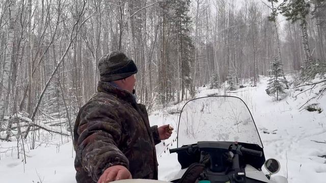 ТРОПИМ СОБОЛЕЙ С БАЙКАЛОМ ПО СВЕЖЕМУ СНЕГУ. НАШЛИ КОЛЕ