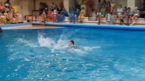 В гости к дельфинам. Геленджикский дельфинарий.