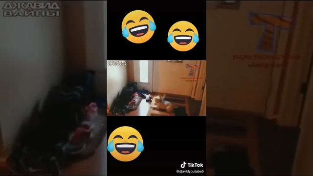 прикольные выражения смотреть онлайн