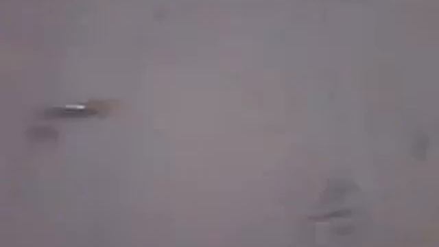 Новинки смотреть онлайн