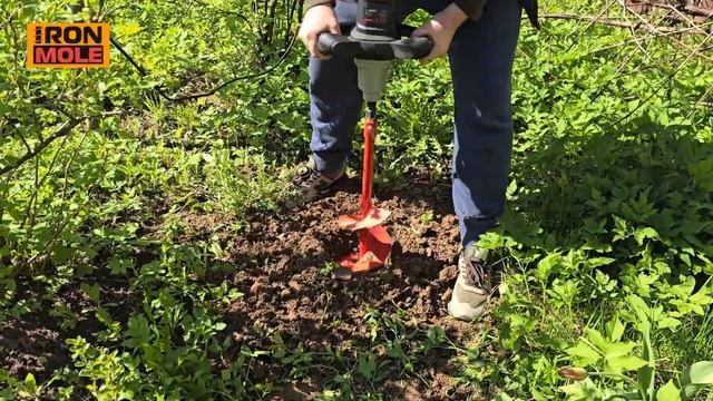 Комплект для использования электрического миксера в ? смотреть онлайн