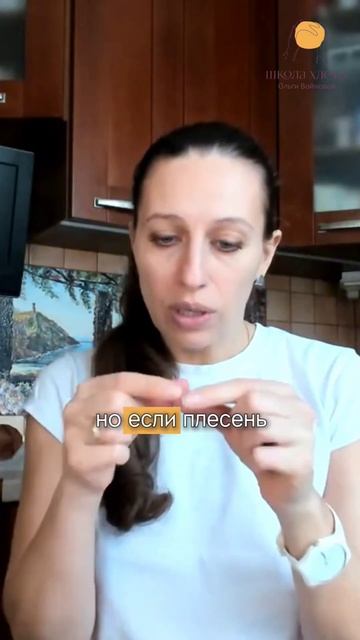 Можно ли есть хлеб с плесенью? #полезныйхлеб #хлебназа? смотреть онлайн