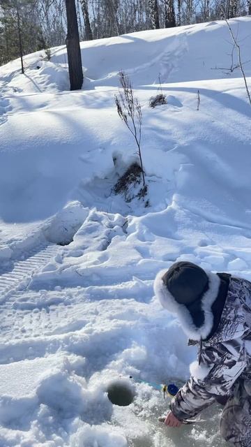 4 марта 2024 г.