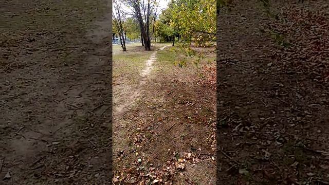 Орешки нашлись в другом месте, под другими каштанами. смотреть онлайн