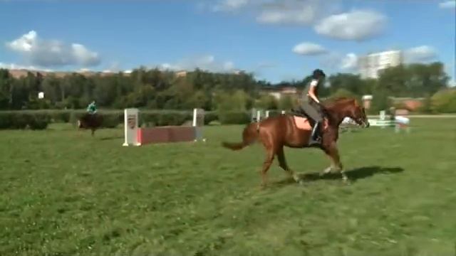 27 08 15 Подготовка к конкуру смотреть онлайн
