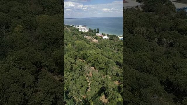 5 августа ( 2 ) смотреть онлайн