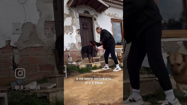 Я не плачу налоги за дом в Испании! Как? 🤯 #shorts смотреть онлайн