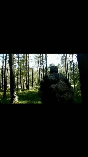 Есть время разбрасывать камни а есть собирать грибы смотреть онлайн