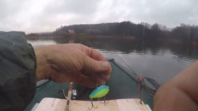 Закрытия осеннего сезона на спиннинг . раттлин рулит!