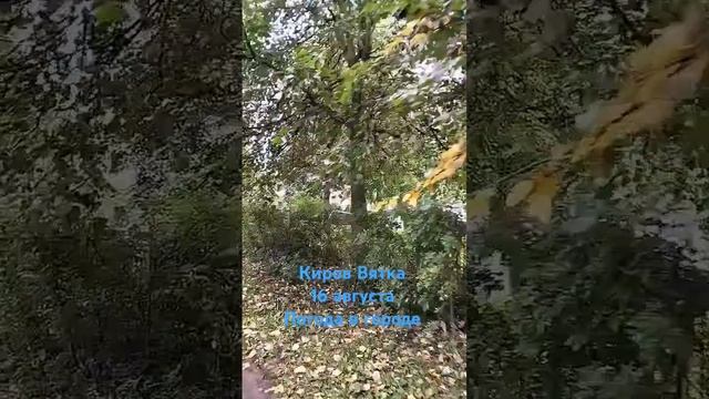 Киров Вятка. Август . Погода в городе смотреть онлайн