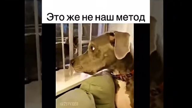 Маленький прикол! смотреть онлайн