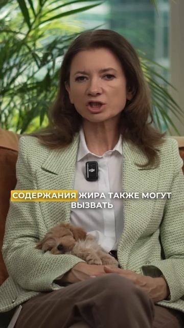 Орехи опасны для здоровья собак. смотреть онлайн