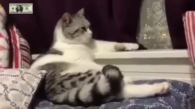 The Best Fails of the week / ЛУЧШИЕ ФЕЙЛЫ И ПРИКОЛЫ ЭТОЙ НЕДЕЛИ #8 смотреть онлайн