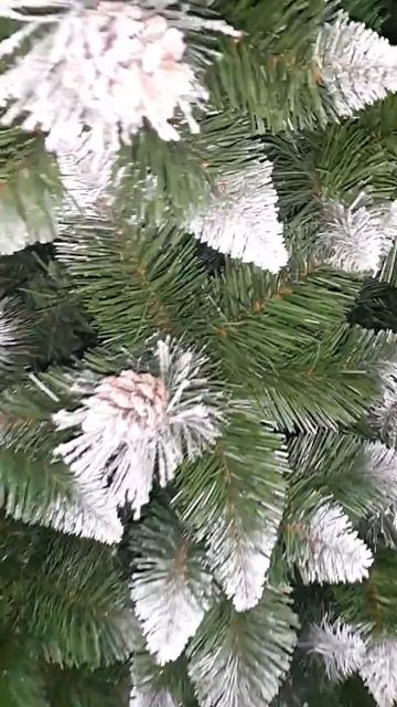 Сосна Greenterra Сибирь смотреть онлайн