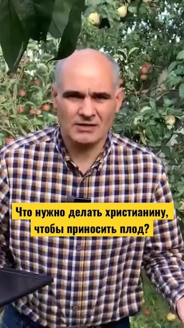 Как быть плодоносным? #shorts #пасторвасилефилат #христиа смотреть онлайн