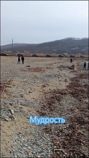 Мудрые цитаты. Приморский край. Дальний восток. #прави? смотреть онлайн