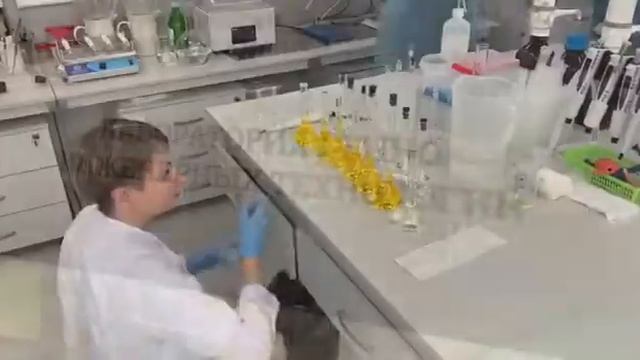 Визит Министра по развитию Дальнего Востока Алексея Ч смотреть онлайн