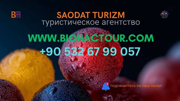 BIOHACTOUR — взломай код своего организма! Вернись с отпуска другим человеком!