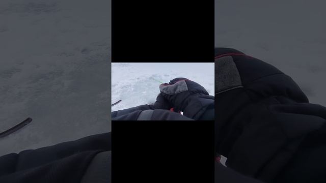 рыбалка на форель по льду | открытие первого льда смотреть онлайн