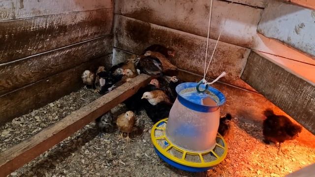 планы на завтра смотреть онлайн