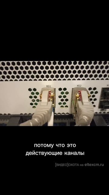 Мультиплексор ToPGATE-SFP-1Е1 Eltex. Видео[Охота] на eltexcm.ru