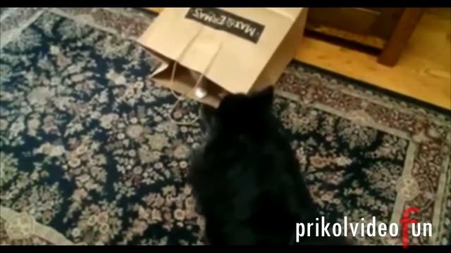 Хорошие смешные сюжеты смотреть онлайн