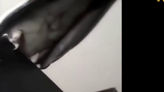 Приколы с попугаем НЕ ТЫКАЙ в попу попугаю ААААА смотреть онлайн
