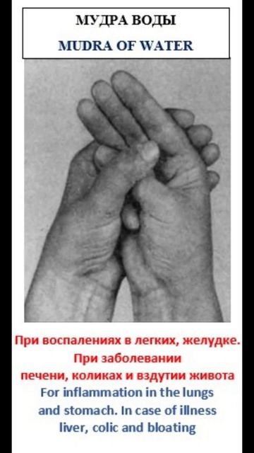 При воспалениях в легких, желудке. При заболевании печ смотреть онлайн