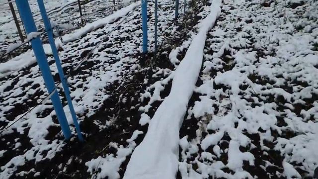 Зима вернулась. смотреть онлайн