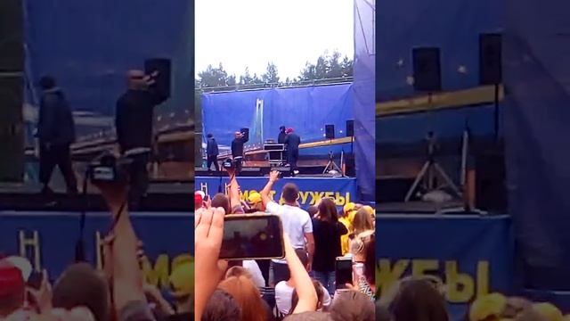 Грибы! Тает лед)))