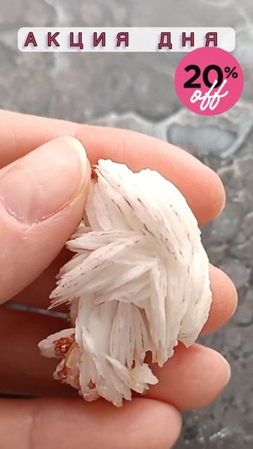 Акция дня на щетку ванадинита