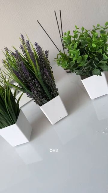 Артикул OZON 921521951 🛍️ смотреть онлайн