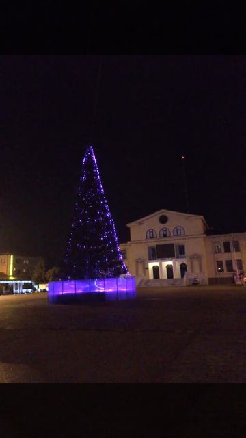 Новогодняя ёлка ждёт игрушки и звезду смотреть онлайн