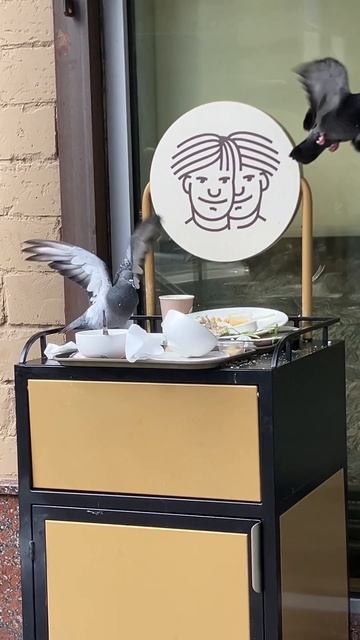 Голуби едят в Братьях Караванаых смотреть онлайн