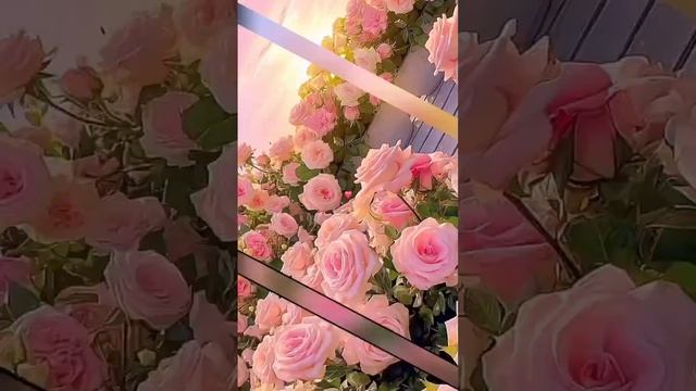 #доброеутро ##добрыйдень#счастливогодня смотреть онлайн