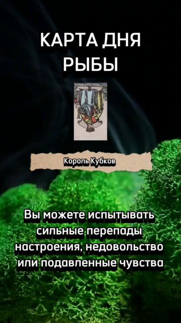 Карта дня РЫБЫ. В описании подробно смотреть онлайн