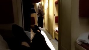 Жесть!!!! В поезде обосрался