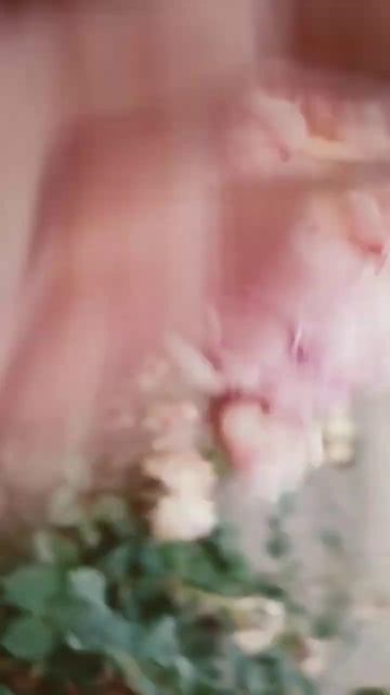 это мята ♟ 😝🫀 смотреть онлайн