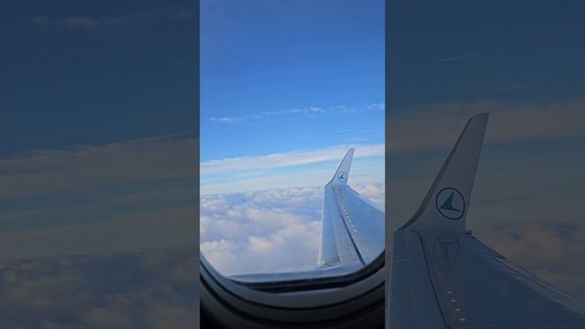 АльхьамдуллиЛляхl за всё что есть у меня!! #shortsvideo #quran #И смотреть онлайн