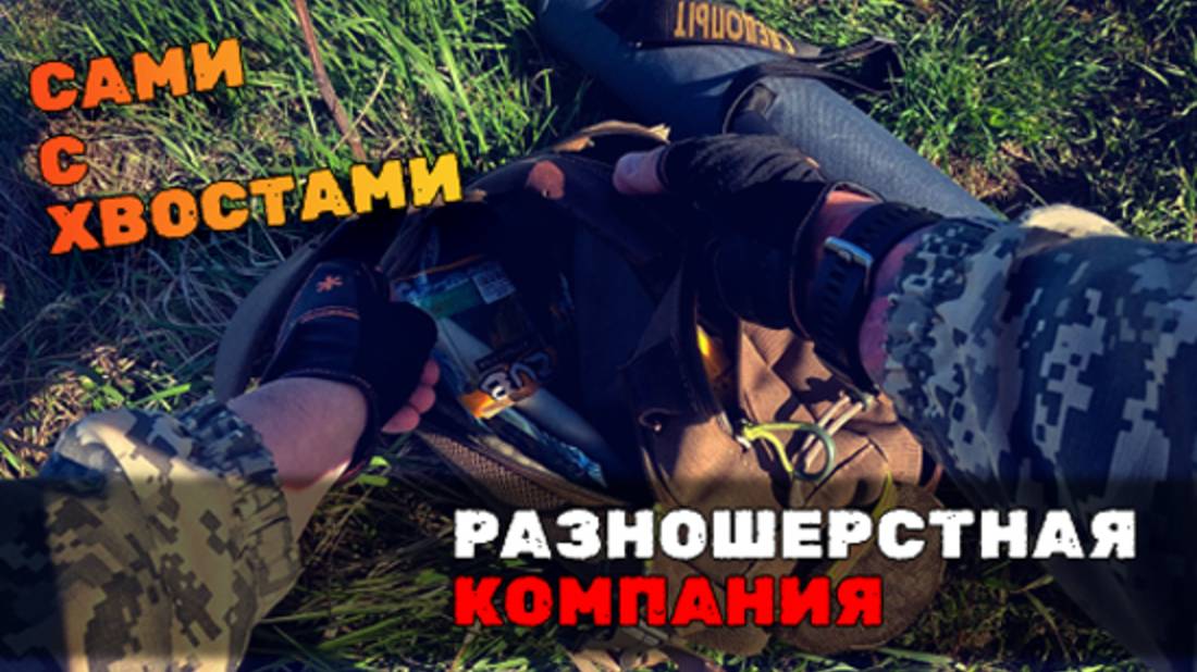 Вечер бликов, хвостов и жесткого шлепка