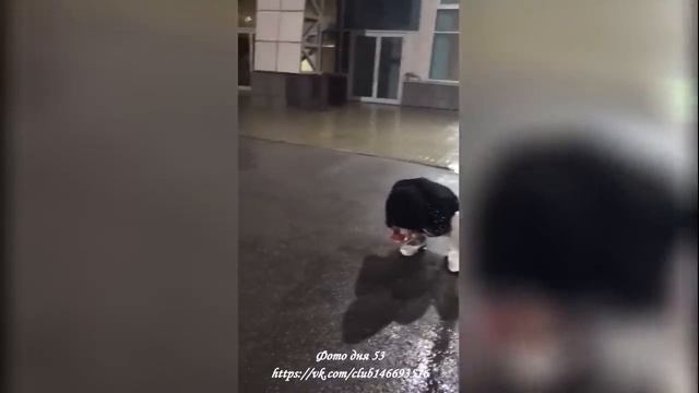 Пьяная девушка снимает штаны в общественных местах