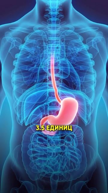 ВОДА РАЗБАВИТ ЖЕЛУДОЧНЫЙ СОК #вода #диета #рационпп #пи смотреть онлайн