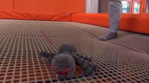 Майнкрафт в видео для детей. Прыгаем на батуте.