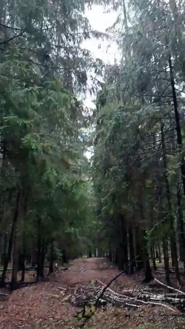 #любовь #россия #шаман смотреть онлайн