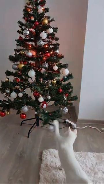 Белый ДУХ смотреть онлайн