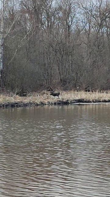 хорошо когда для жизни есть место всем смотреть онлайн
