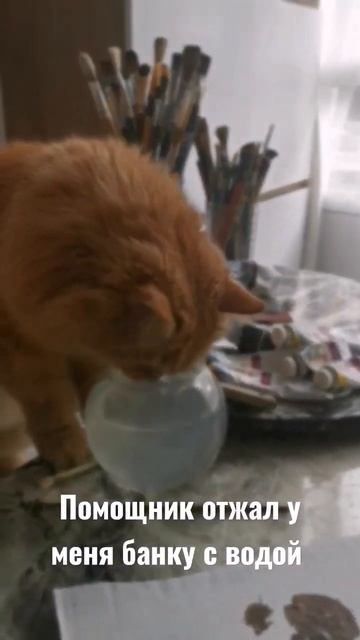 Кот мешает рисовать #кот#котхудожник#художниккрасноярск#художник смотреть онлайн