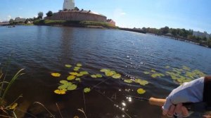 Рыбалка в Выборге. Ловля щуки твичингом. Воблеры и сил?
