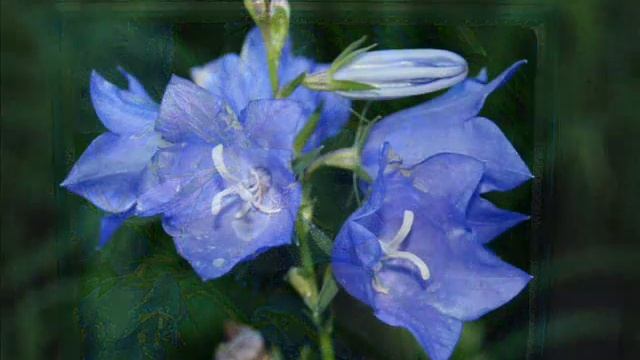 Выставка.которой не было смотреть онлайн